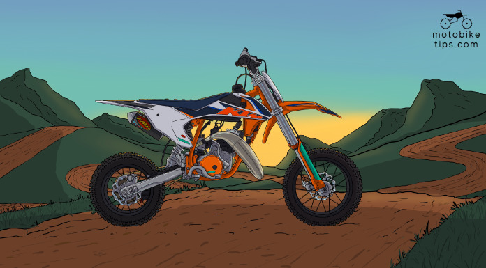 2023 KTM 50 SX Factory Edition – Race Dirt Bike