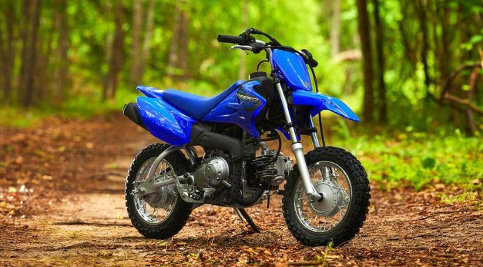 Image of Yamaha TTR50 dirt bike in the woods
