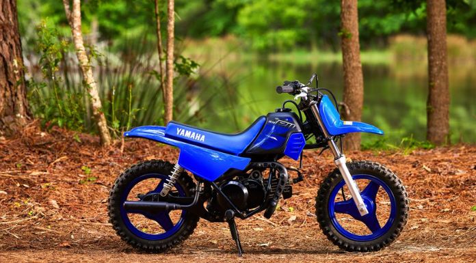 Image of Yamaha PW50 dirt bike standing on the ground with trees at the back