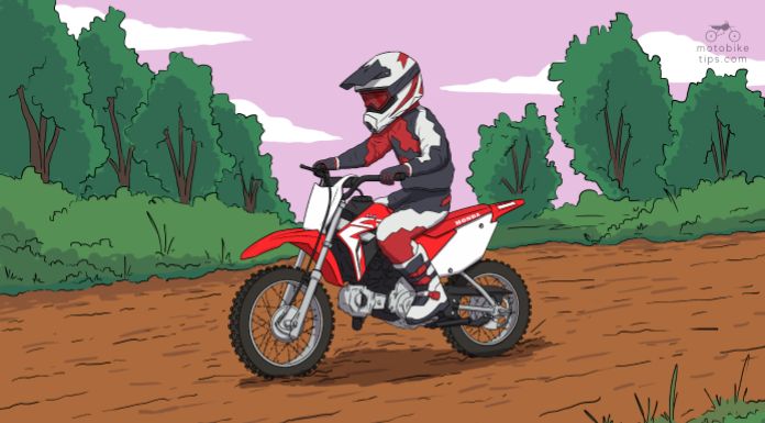 Young rider riding the Honda crf-110 dirt bike in the trail