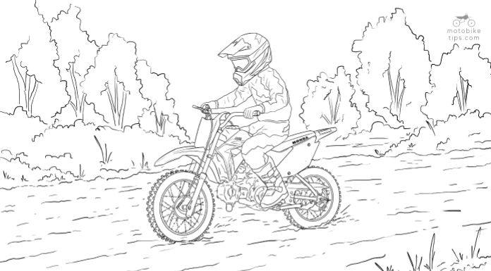 Illustration of young man riding on his honda crf 110 in the trail